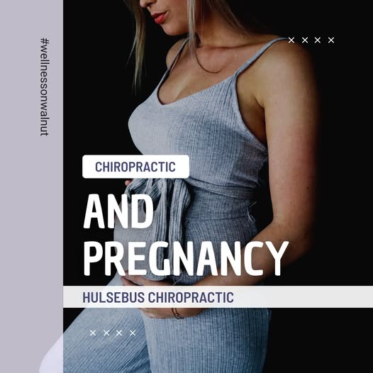 Chiropractic Care During Pregnacy
